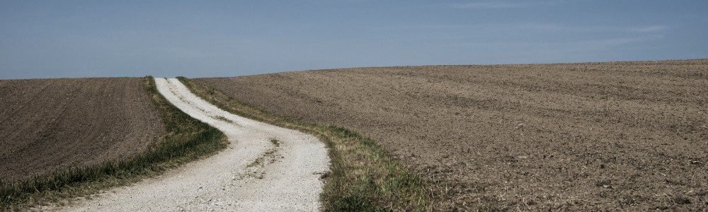 Jak zwalczać azotany z wody studziennej? Poznaj sprawdzony sposób